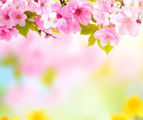 Lente beauty behandeling